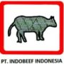 PT Indobeef Indonesia Logo