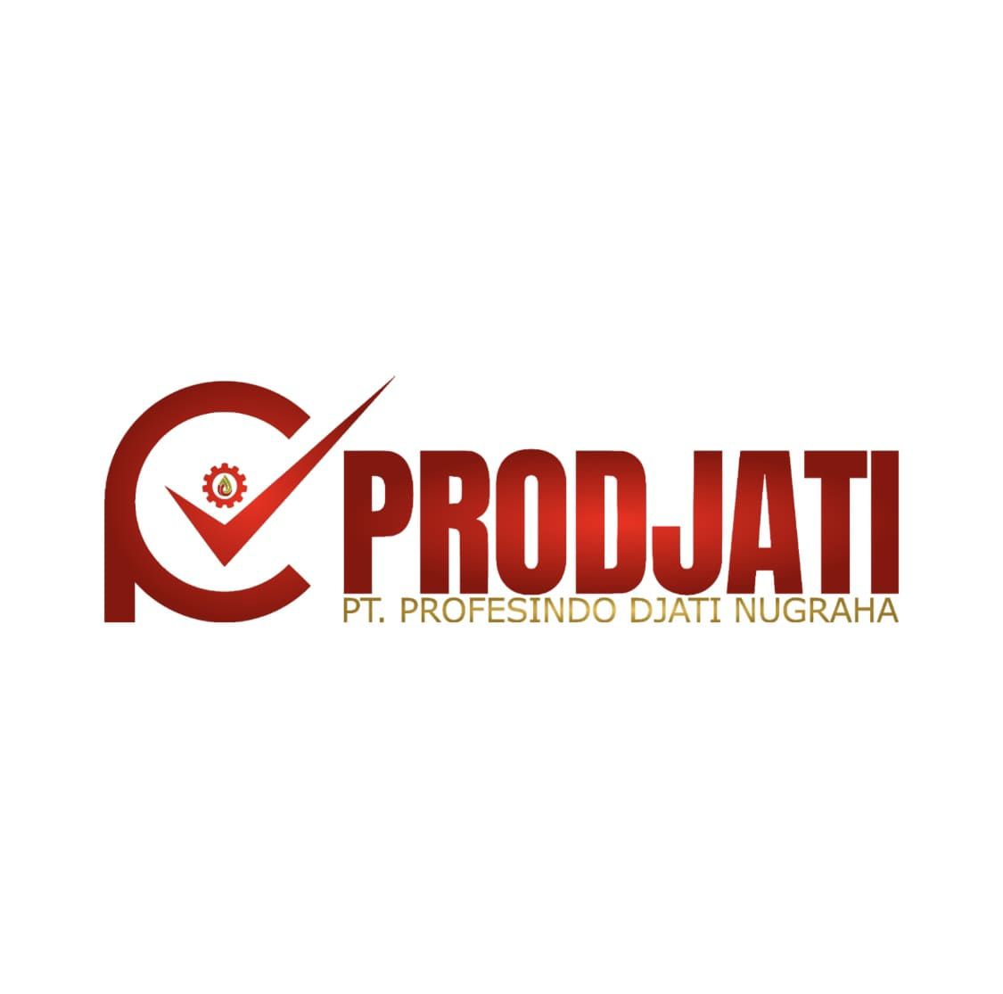 PT Profesindo Djati Nugraha Logo